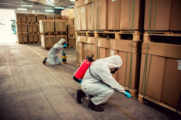 Best Mosquito Control Services  in Four Oaks, NC