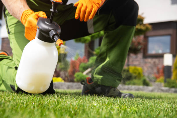 Best Bed Bug Extermination  in Four Oaks, NC
