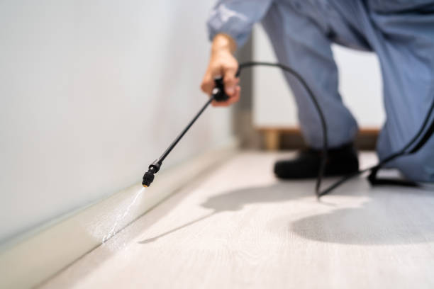 Best Residential Pest Control  in Four Oaks, NC