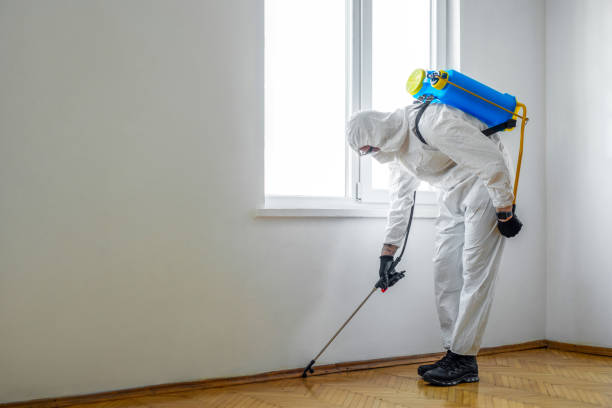 Best Affordable Pest Control Services  in Four Oaks, NC