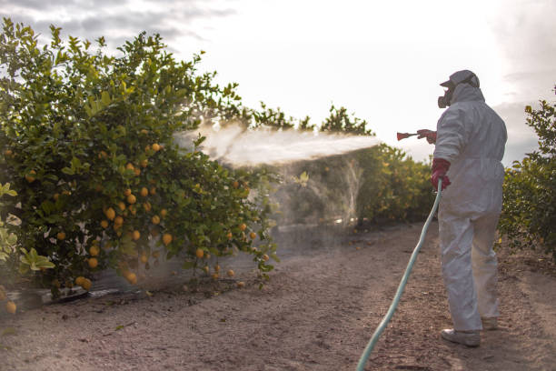 Professional Pest Control in Four Oaks, NC