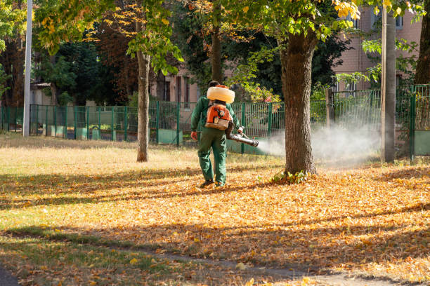 Pest Control Cost in Four Oaks, NC