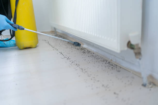 Best Pest Removal Services  in Four Oaks, NC