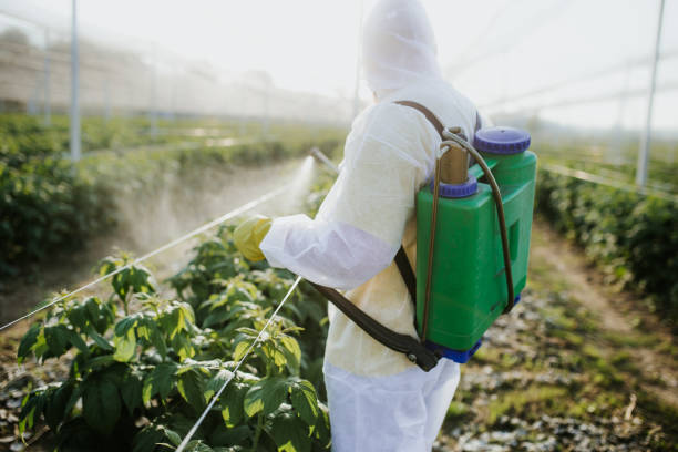 Best Best Pest Control Companies  in Four Oaks, NC